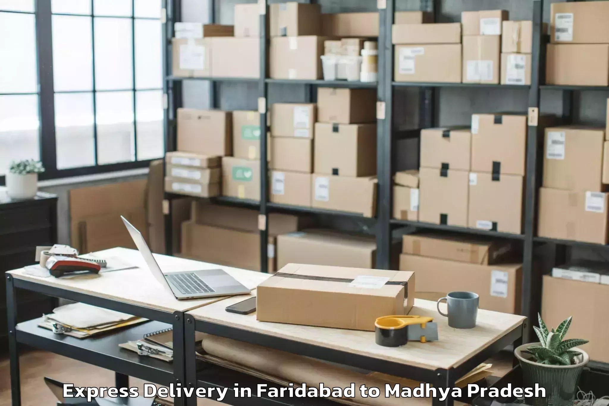 Faridabad to Alot Express Delivery Booking